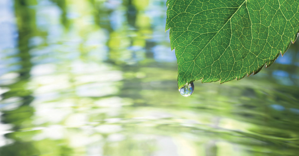 plate bending rolls, plate rolling machines, 4-roll plate bending machines, angle rolls, section rolls, flanging machines, dishing press